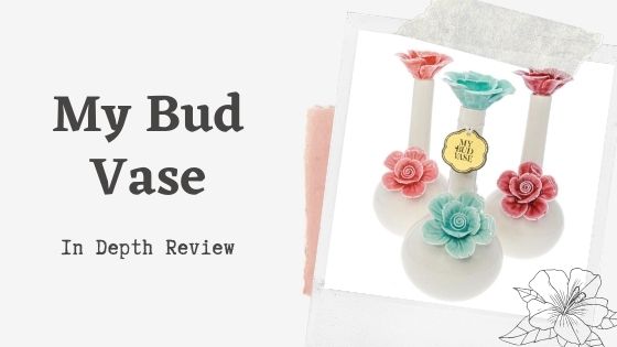 My Bud Vase - Bongs for Stylish Taste